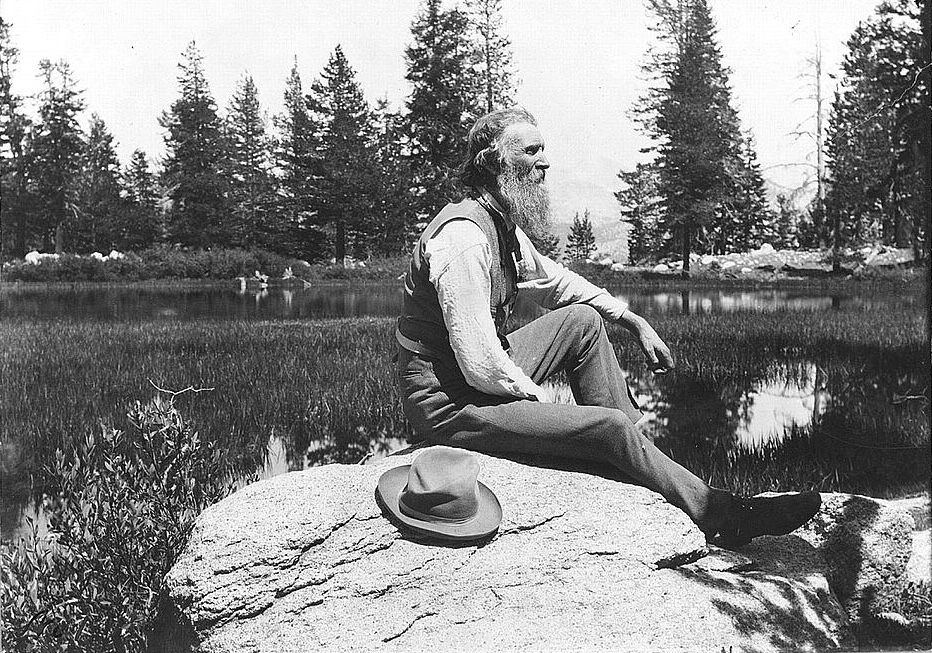 John Muir sits on a rock nearby a pond overlooking nearby trees.